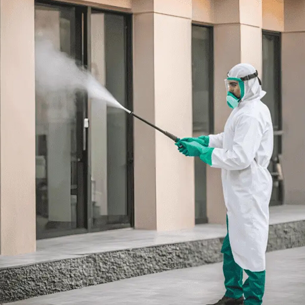 Why DIY Pest Control Fails