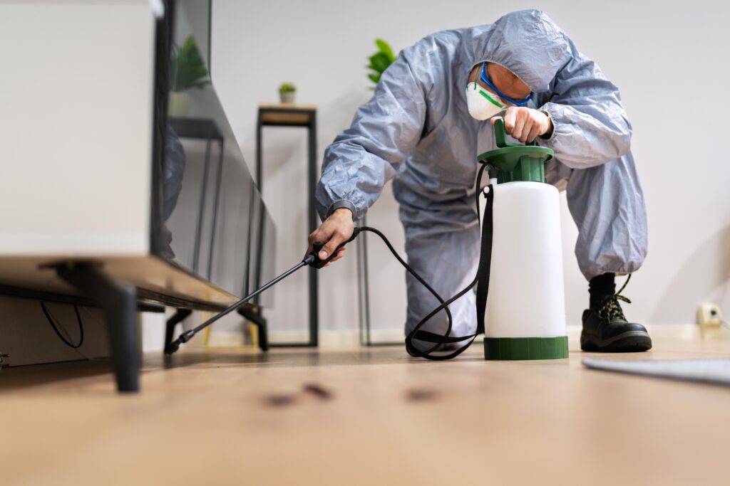 How to Get Rid of Cockroaches Permanently