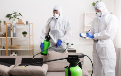 Common Mistakes Homeowners Make in Pest Control