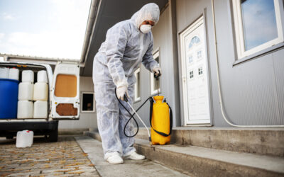 Pest Control for Homes & Businesses