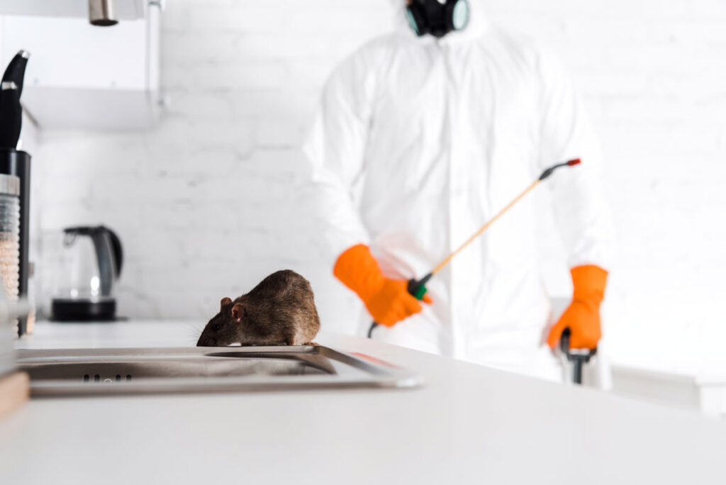 Rodent Control