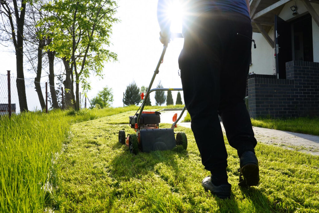 Professional Lawn Mowing Services in Melbourne