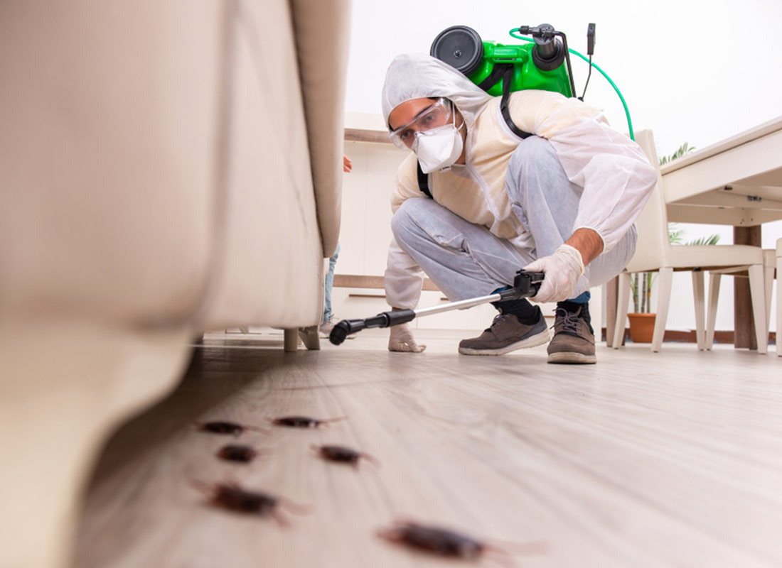 Pest control Melbourne Australia