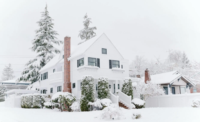 Winter Pest Problems in Australia Protect Your Home This Winter